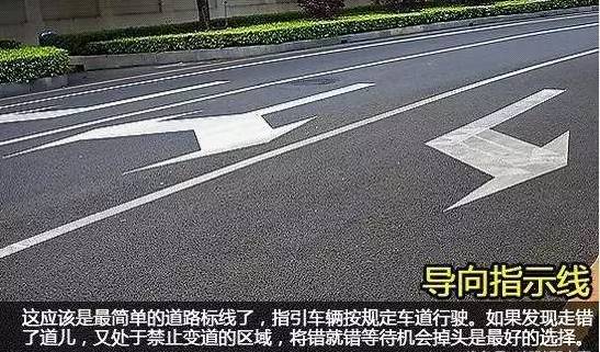 建議收藏！史上最全的路面標志線，看完你就是老司機了~